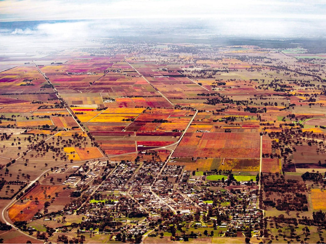 Coonawarra Autumn Aerial (Ockert Le Roux)