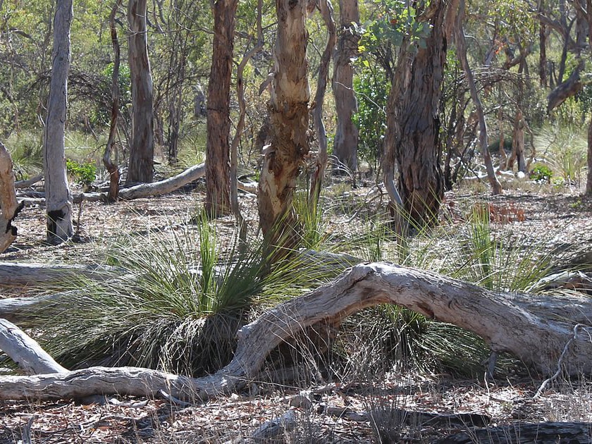 Padthaway Conservation Park