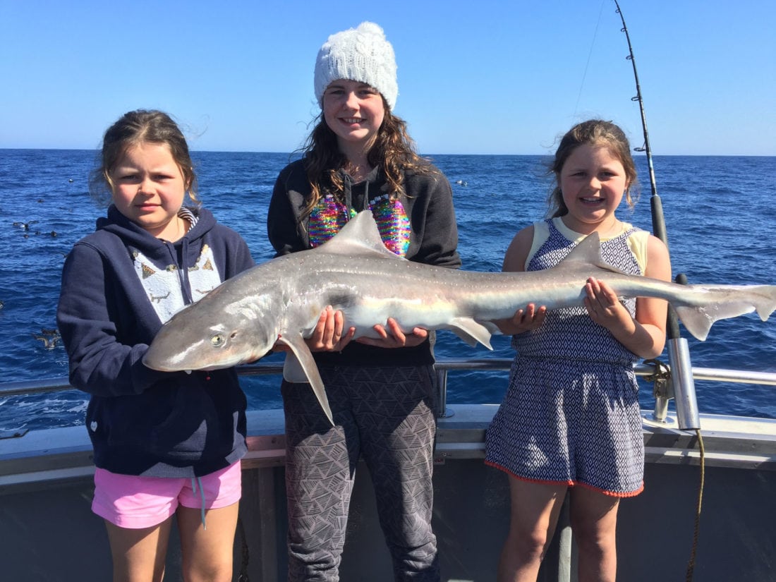 Visit Port MacDonnell on the Limestone Coast, South Australia