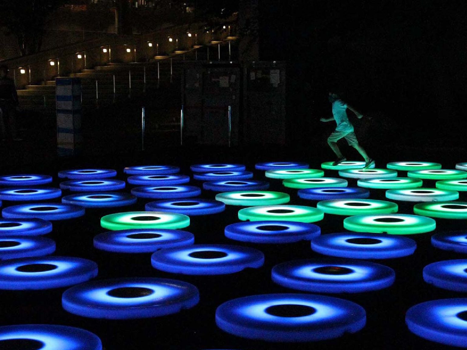 Digital Garden Mount Gambier Limestone Coast