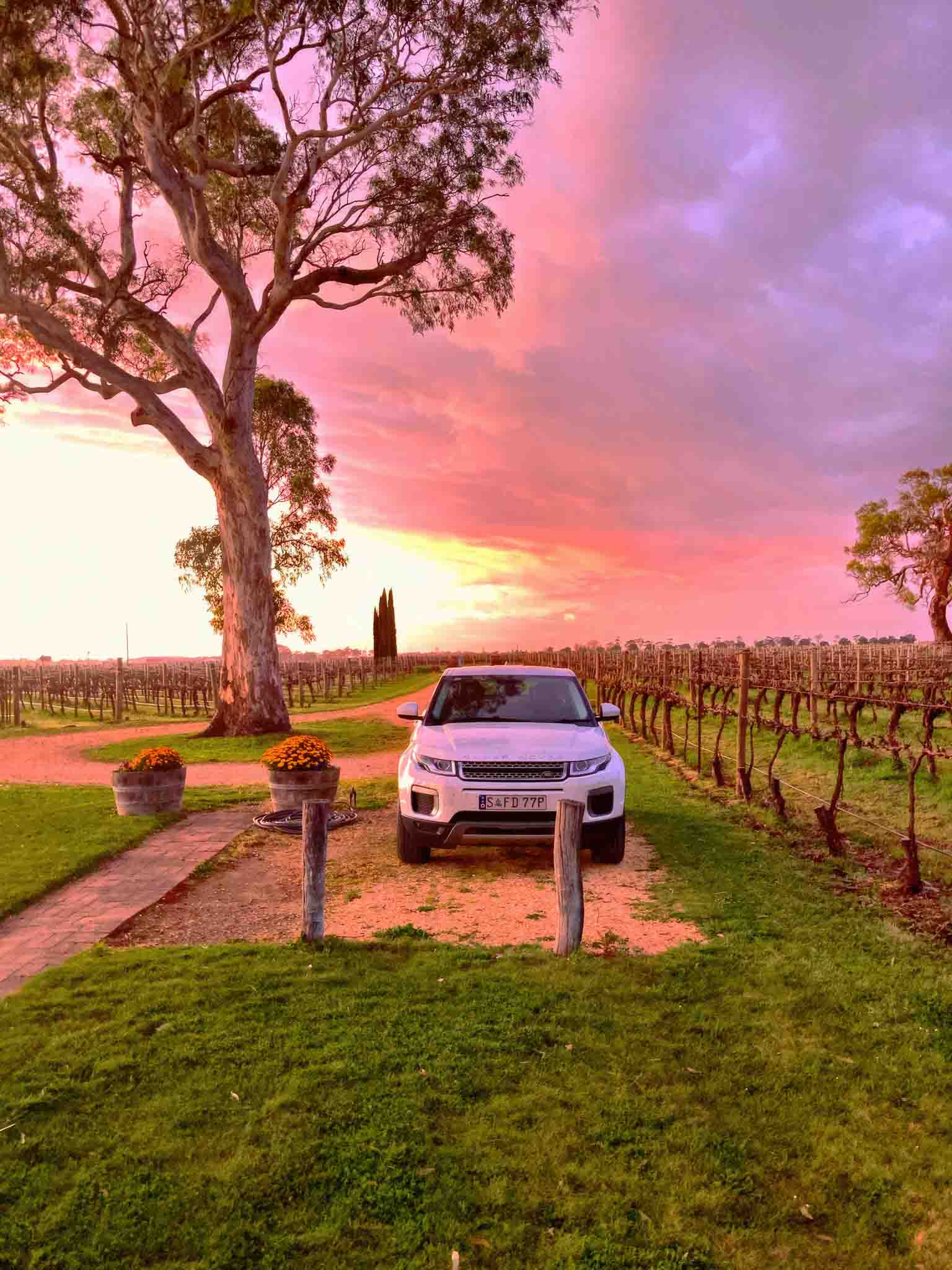 Highbank Wines Country Cottage Coonawarra, (@adamross_vg)