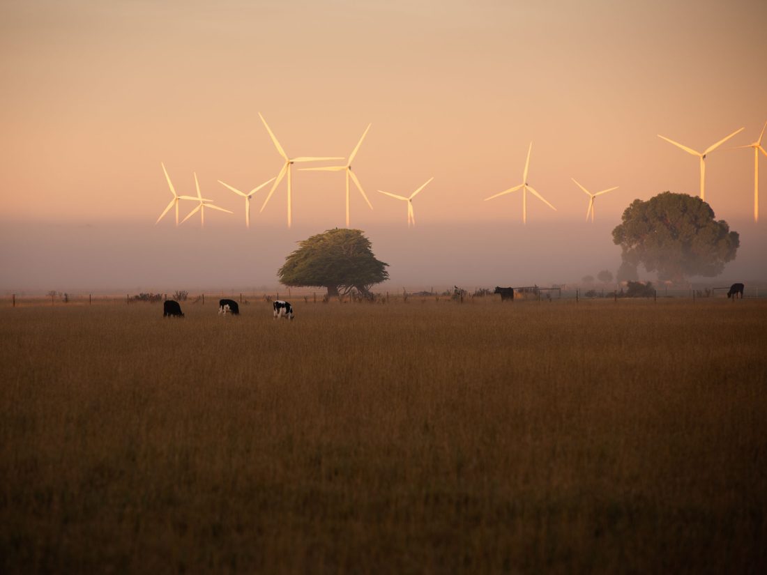 Woakwine Range Wind Farm, Tantanoola (@darrenwirth)