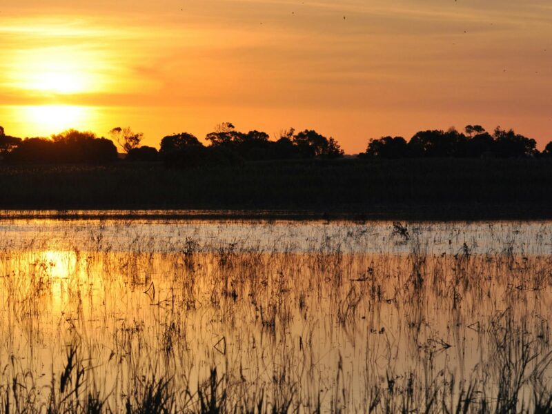 bool lagoon