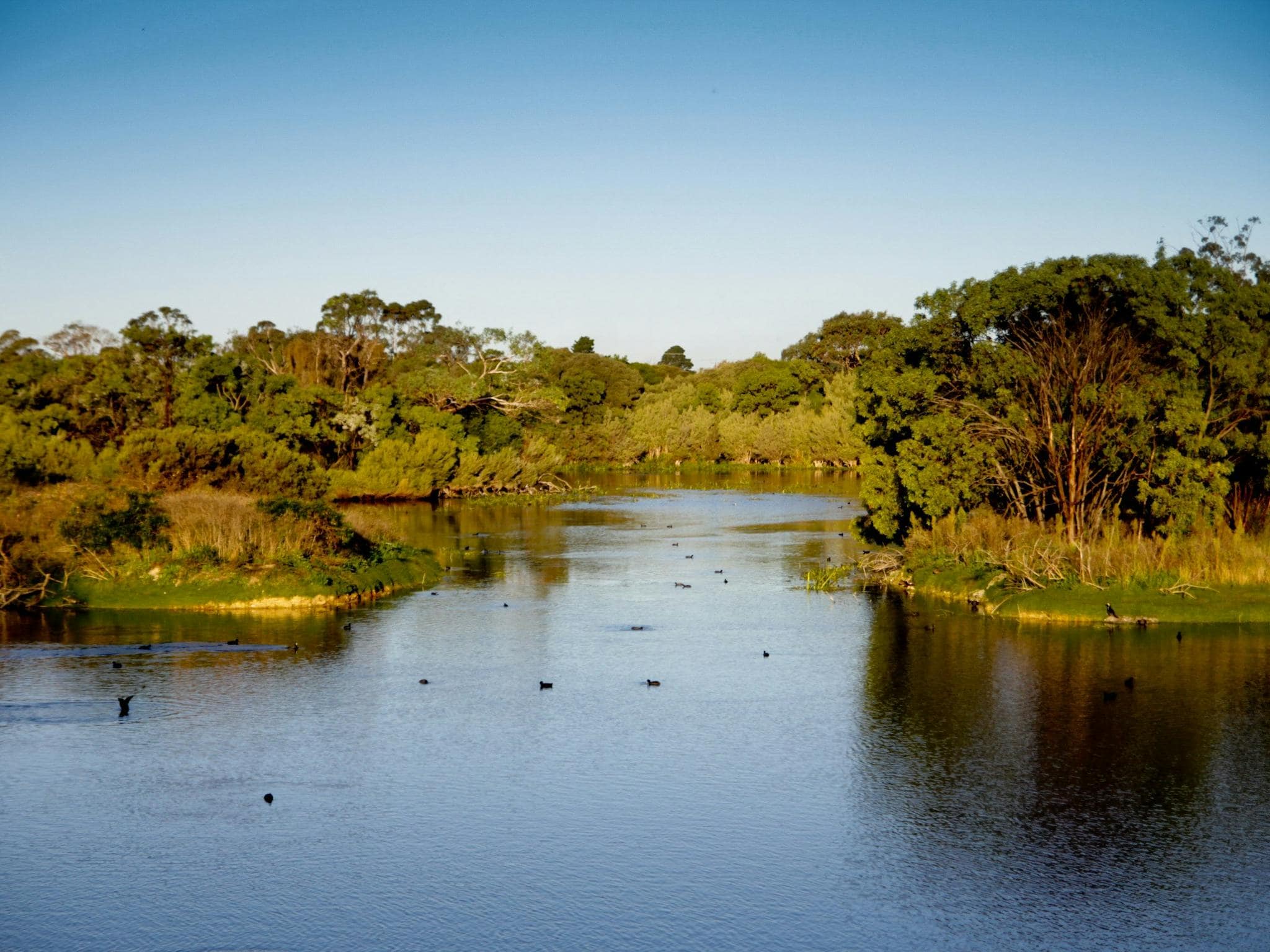 Lake McIntyre Limestone Coast
