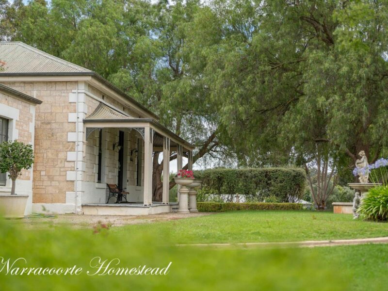 Homestead front garden