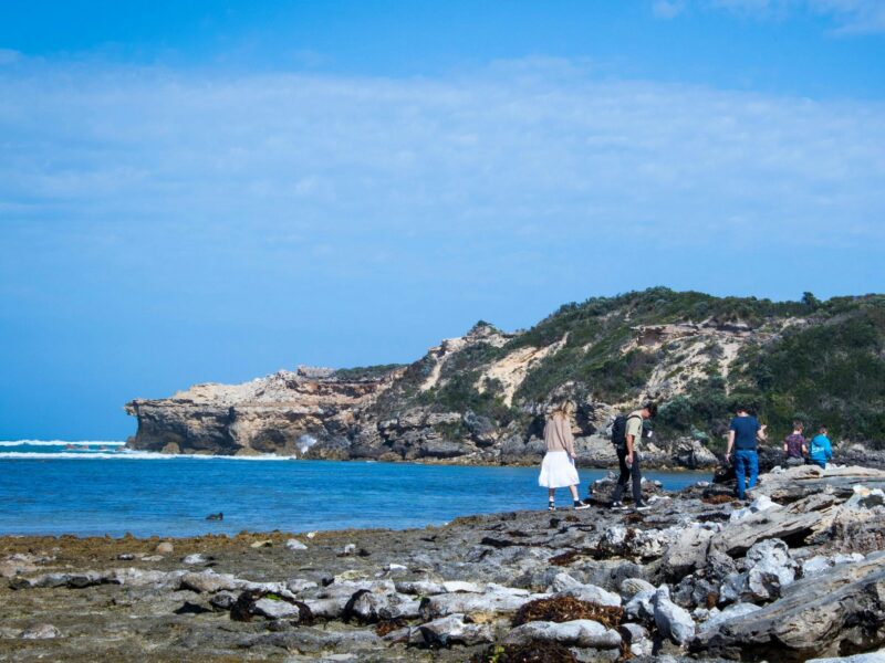 Group of People touring the rugged coastline at Port MacDonnell with Bush Adventures Tours