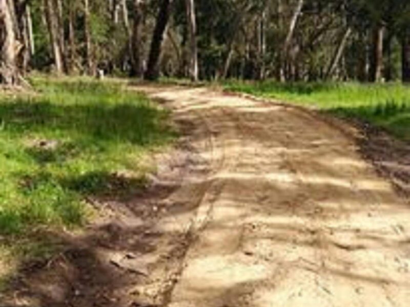 A trail made of yellow crushed rubble leading through trees with grass on the sides.