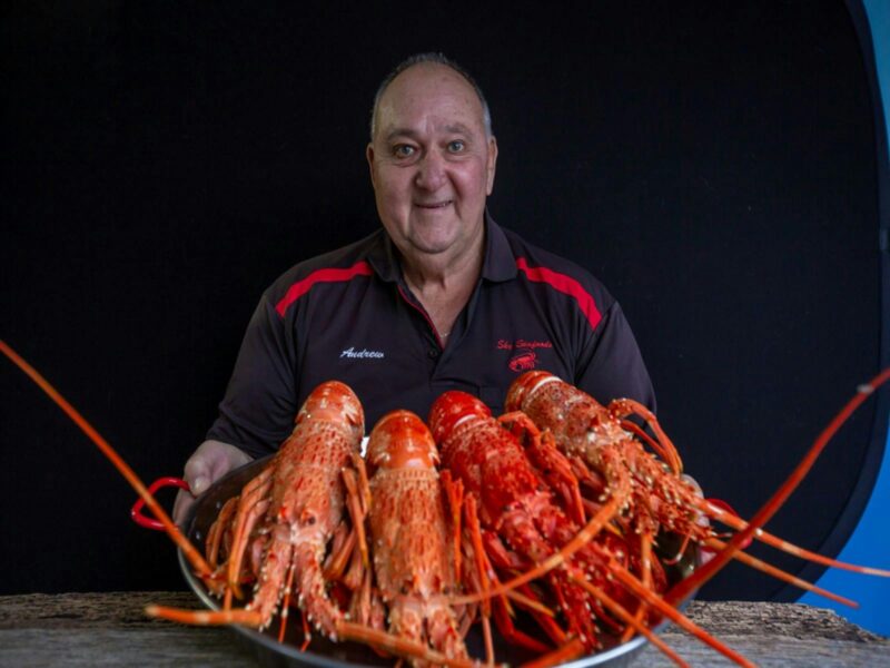 Andrew holding cooked lobster