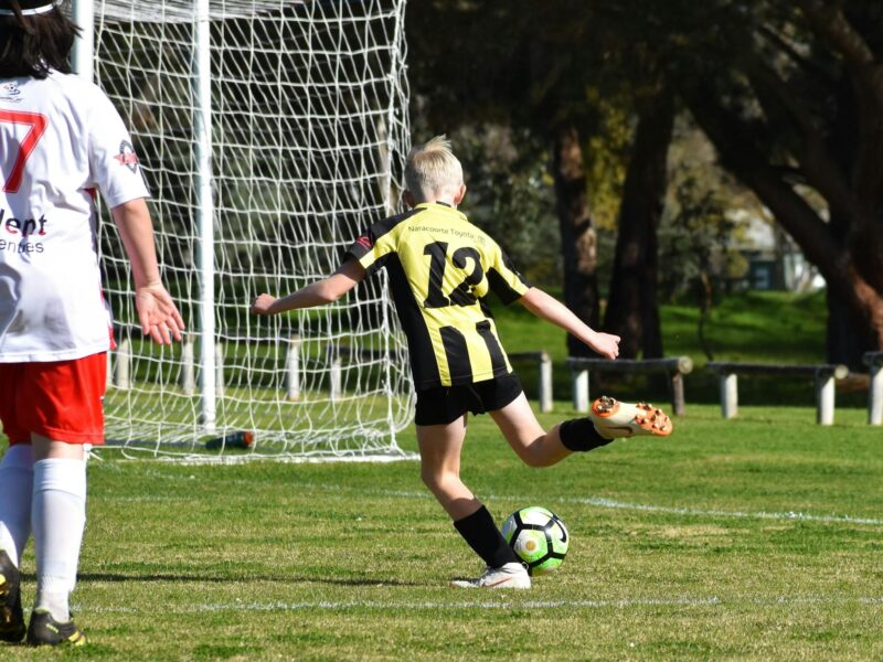 Limestone Coast Multicultural Soccer carnival