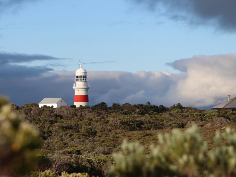 Port MacDonnell lighthouse standing against dramatic clouds and natural greenery