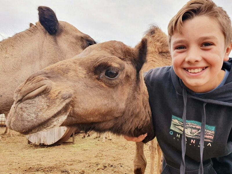 Little boy and camel