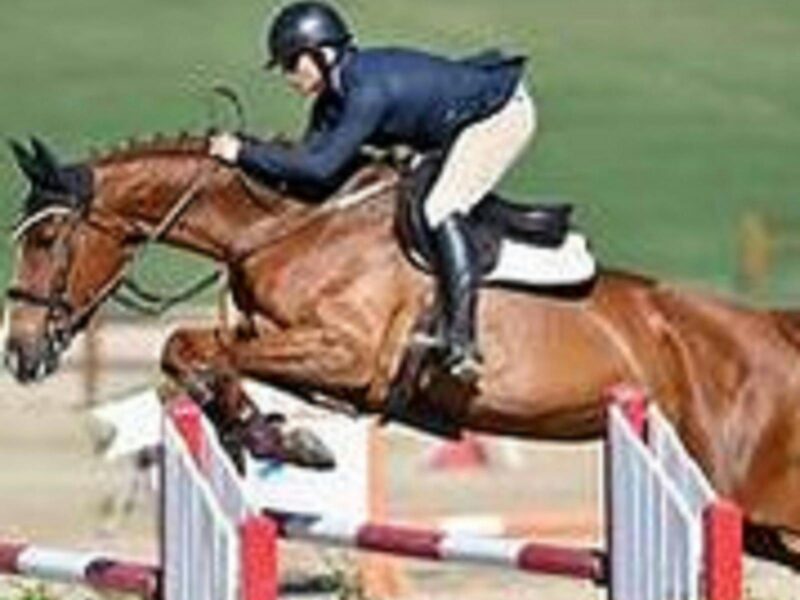 A lovely bay coloured horse clearing a high jump with a rider dressed in a black jacket and helmet.