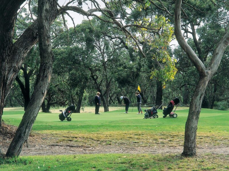 Golfing