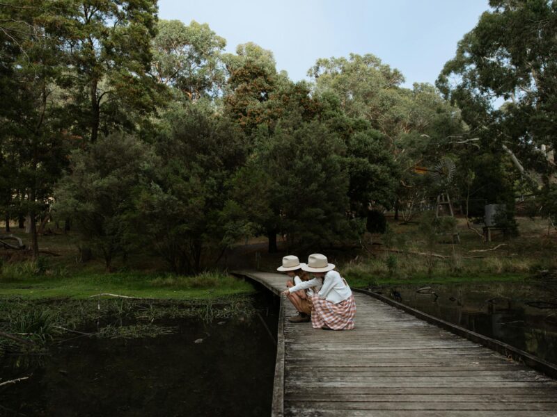 children on a boardwalk looking into the lake