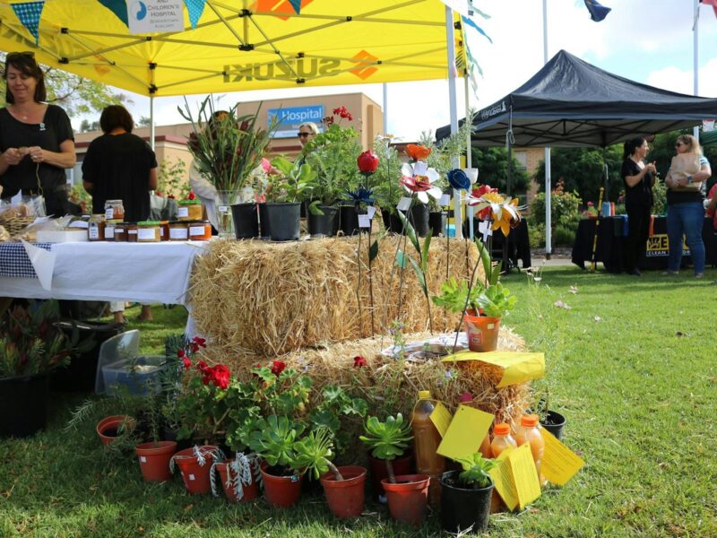 bordertown hospital fair