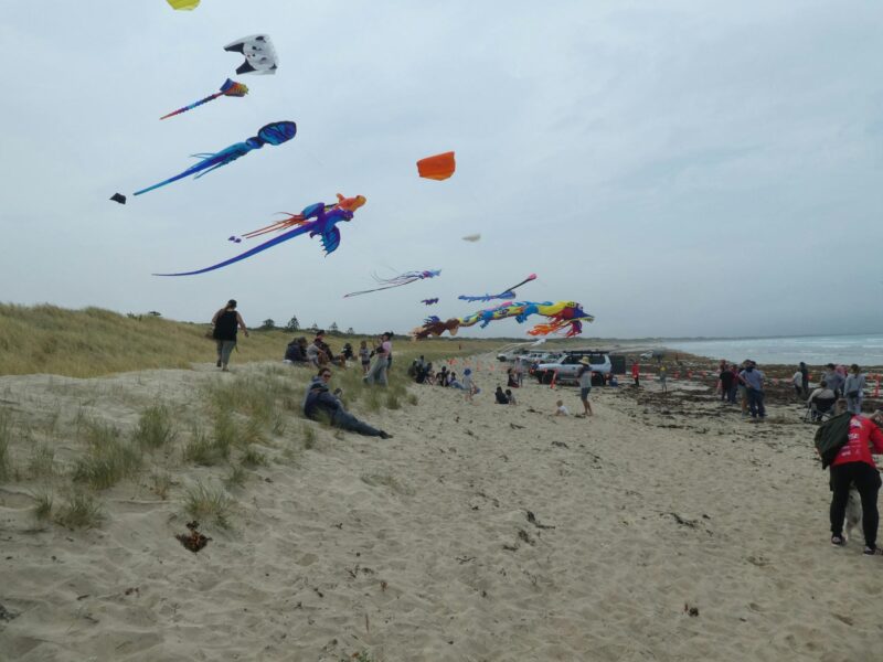 Beachport Giant Kite