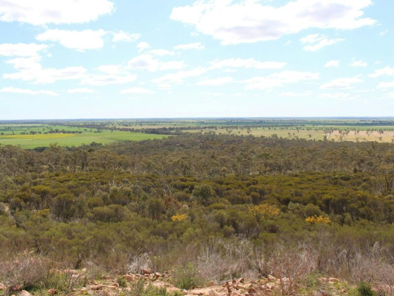 The view from the summit at Mount Monster Conservation Park.