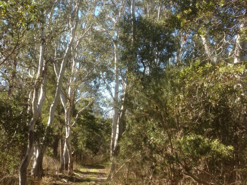 Penola Conservation Park