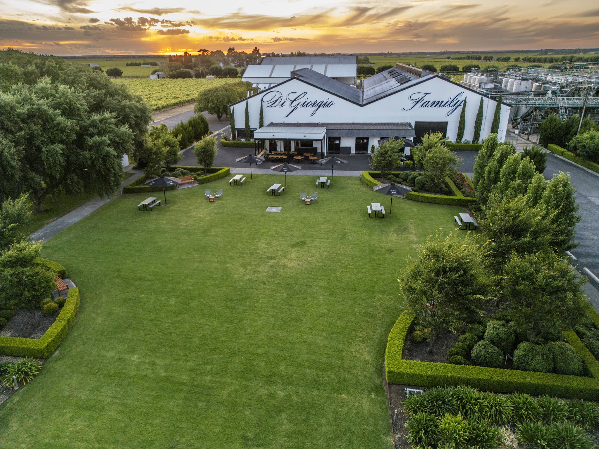 DiGiorgio Family Wines, Coonawarra