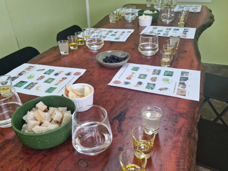 Tasting room table set up for masterclass tasting experience.