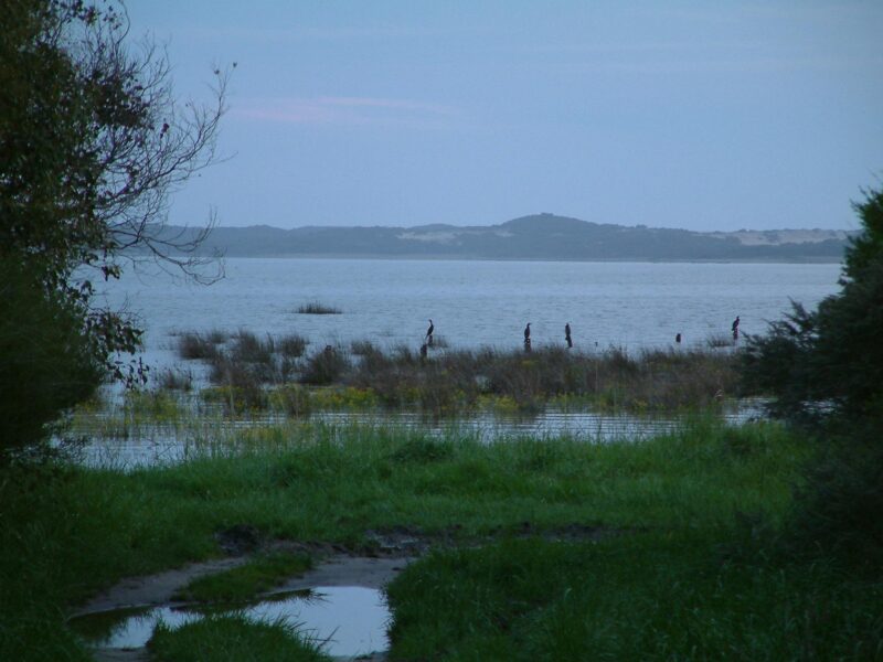 Lake Bonney WRC