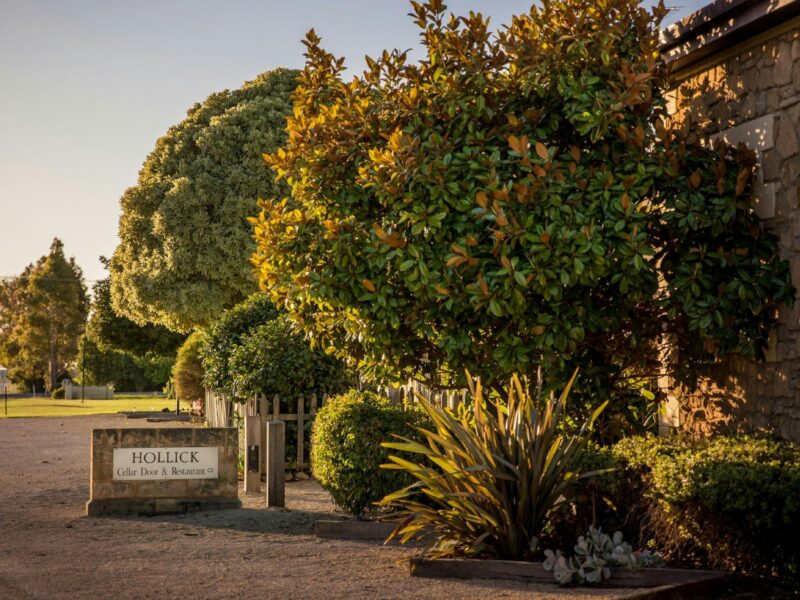 Pathway to the Hollick Estates Cellar Door & Restaurant