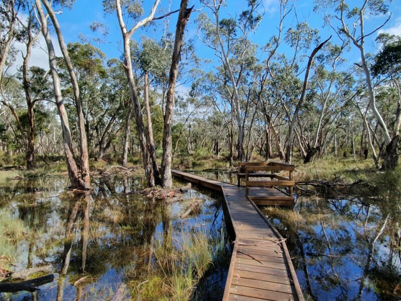 Honan Mint Trail wetland boarwalk