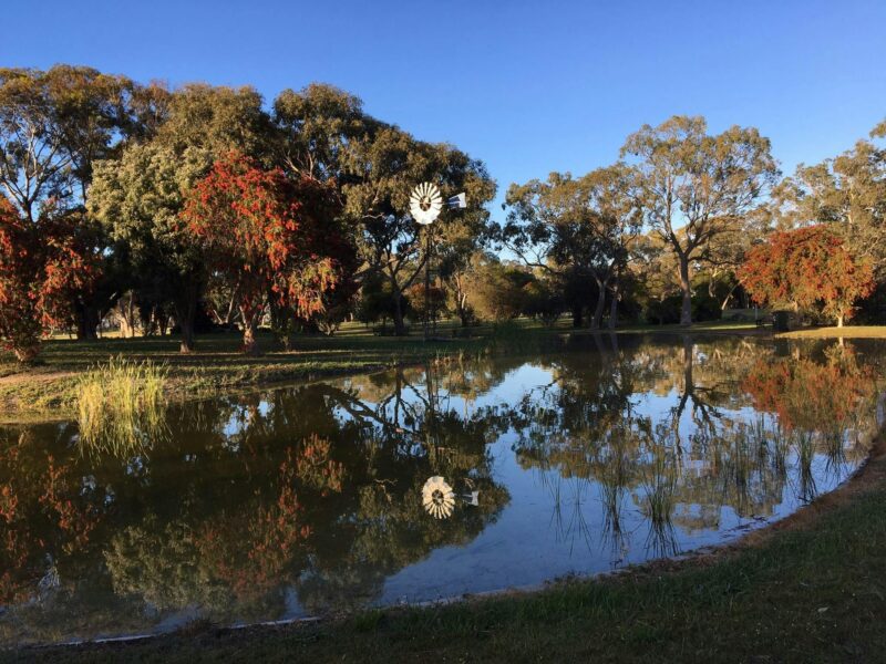 Jubilee Park, Lucindale