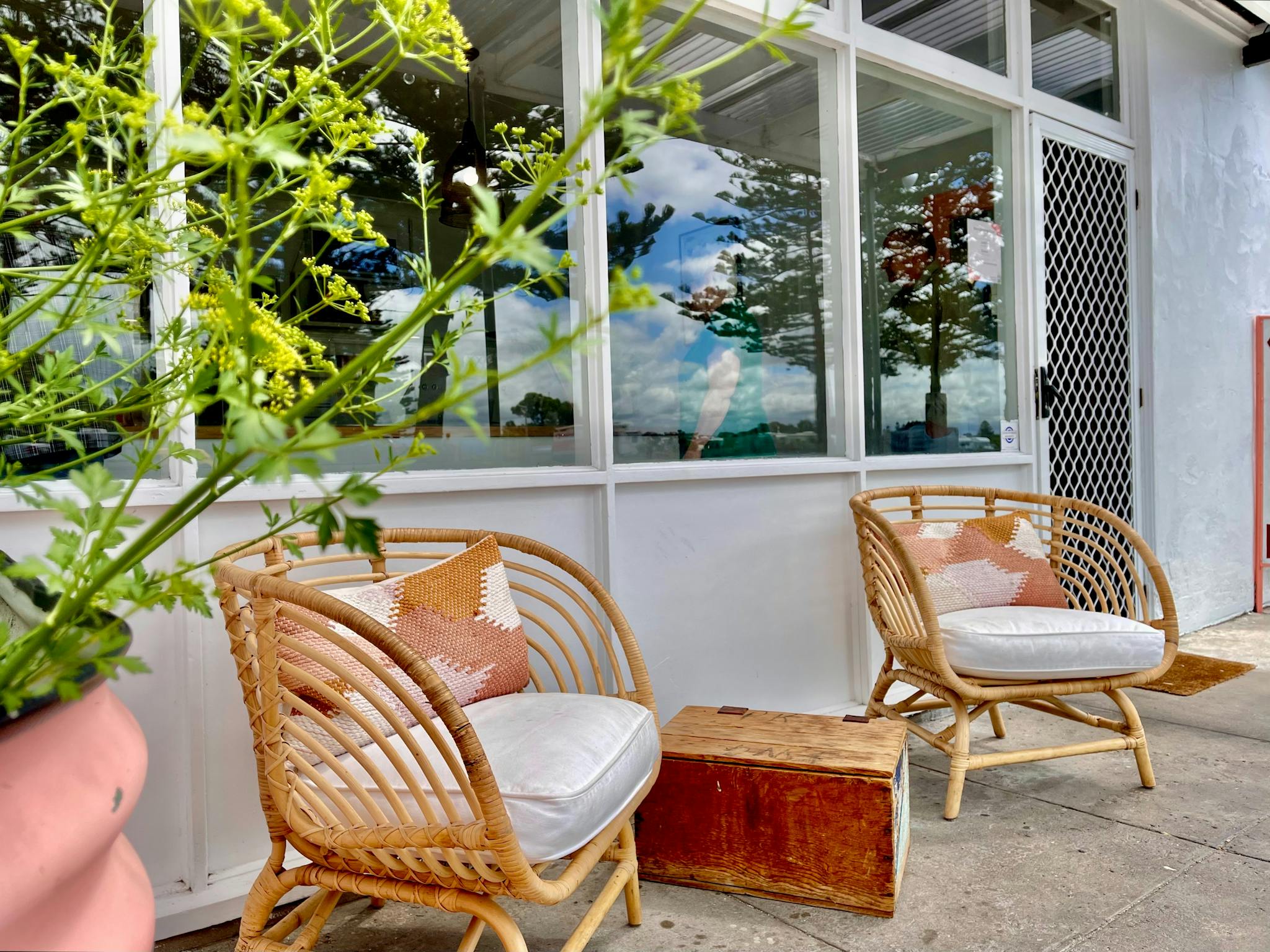 The Birdman Of Northern Maine | Maine Boats Homes & Harbors Australia