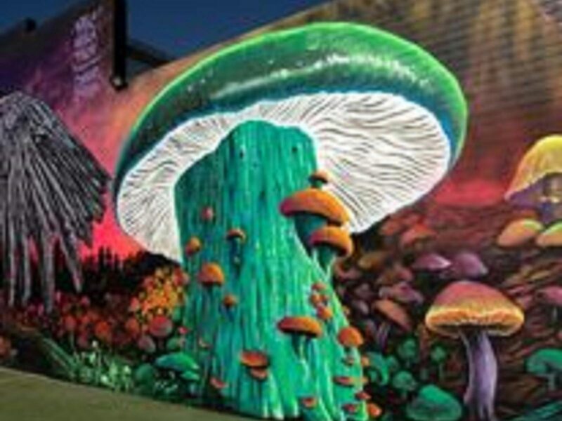 A mural on the wall of a huge green ghost mushroom surrounded by other smaller mushrooms.