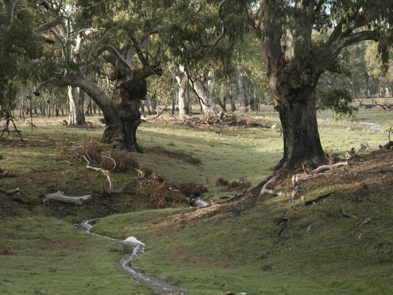 ATDW Poocher Swamp Game Reserve.jpeg Poocher Swamp