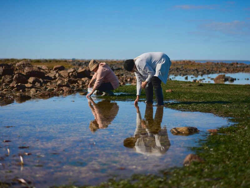 Two women searching through rockpools