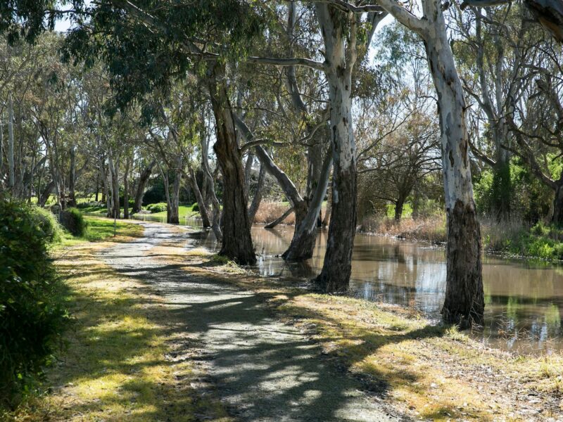 ATDW Naracoorte Creek Walk.jpeg Naracoorte Creek Walk