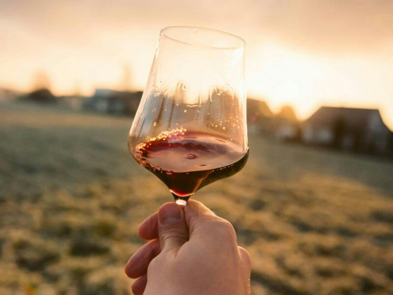wine glass held up to the sun