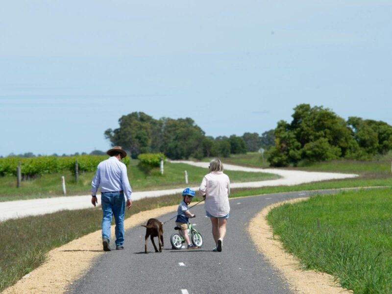 ATDW Coonawarra Walking Trails Super Scavenger Hunt.jpeg Family Friendly activities in Coonawarra