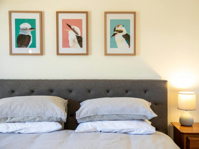 ATDW The Winemakers House At The Blok Coonawarra.jpeg bed with three pictures of Kookaburras each with a coloured background and a lamp on a bedside table