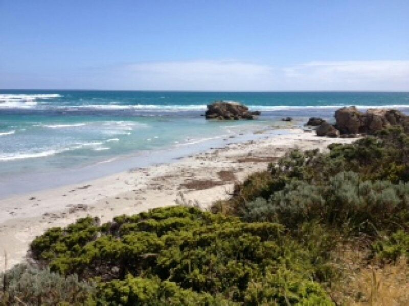ATDW Cape Banks Campground Canunda National Park.jpeg Canunda National Park