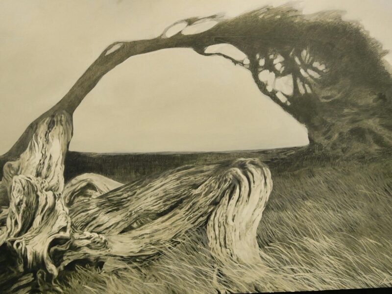 ATDW Karatta Wines Southern Ocean Art Prize Robe SA.jpeg soap