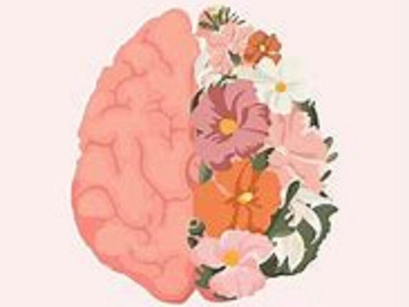 ATDW Mental Health Workshop Glencoe.jpeg A salmon pink image of a brain on one half it is full of colourful flowers. The other half is pink.