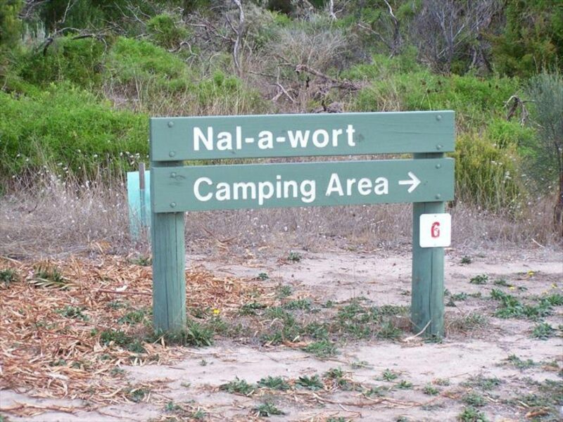 ATDW Nal A Wort Campground Canunda National Park.jpeg Canunda National Park