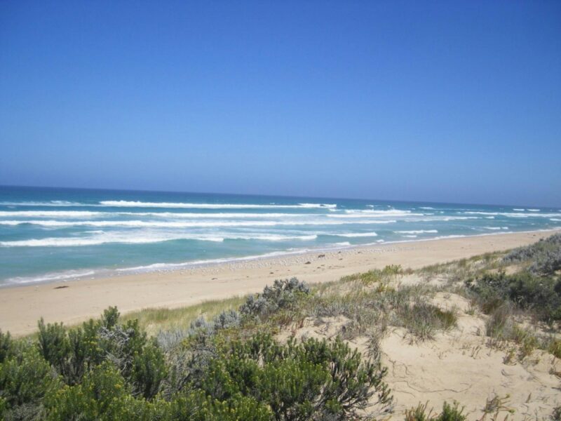 ATDW Oil Rig Square Campground Canunda National Park.jpeg Canunda National Park