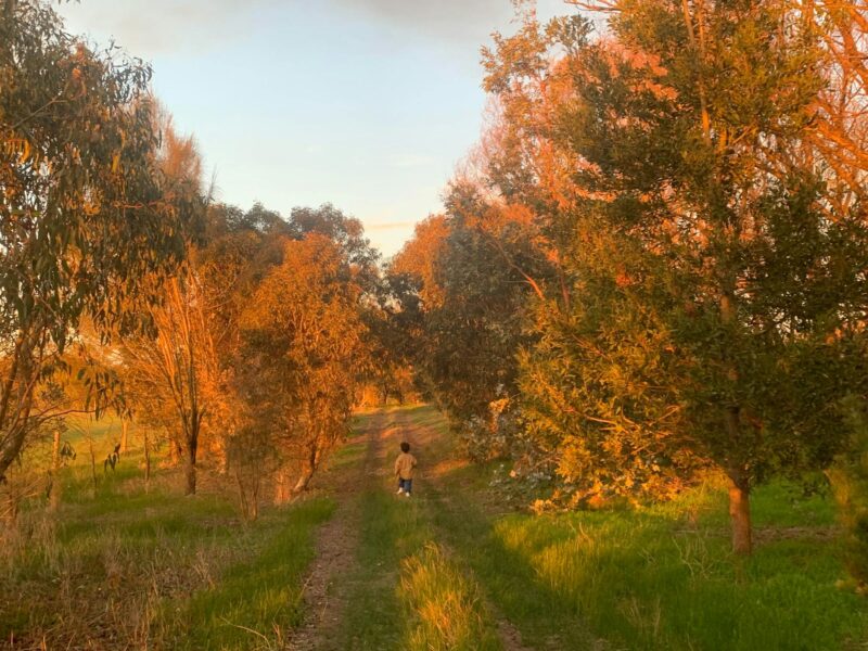 ATDW Walk To The Waterhole And Picnic.jpeg Child on walkway