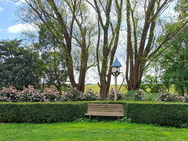 ATDW Glass In The Hand Garden Tour.jpeg Box hedge with camellia hedge provide a peaceful spot