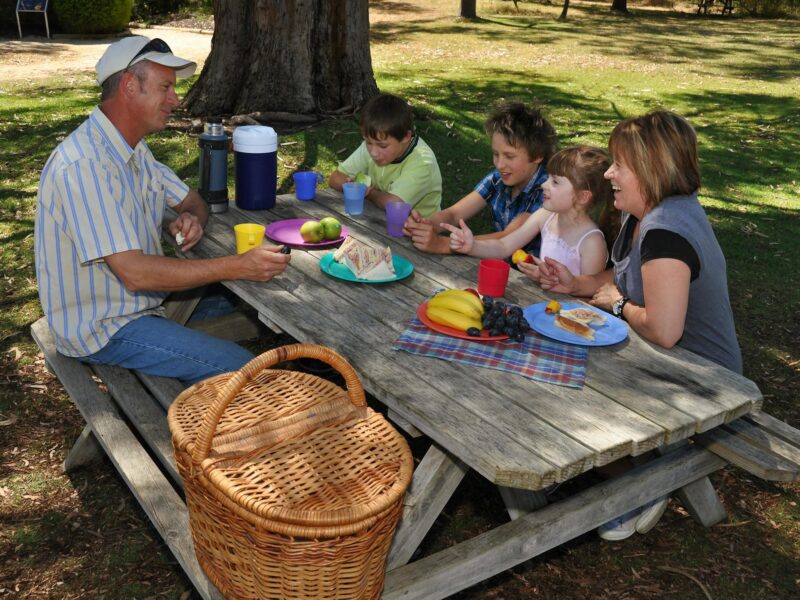 ATDW Naracoorte Caves Camping And Accommodation.jpeg Naracoorte picnic
