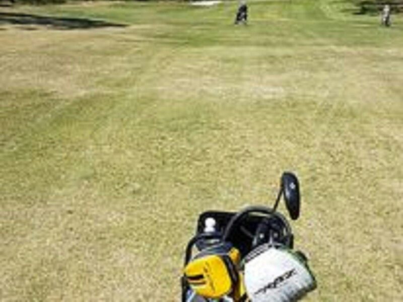 A golf caddy sitting facing down the green manicured golf course with a golf stick poking up.