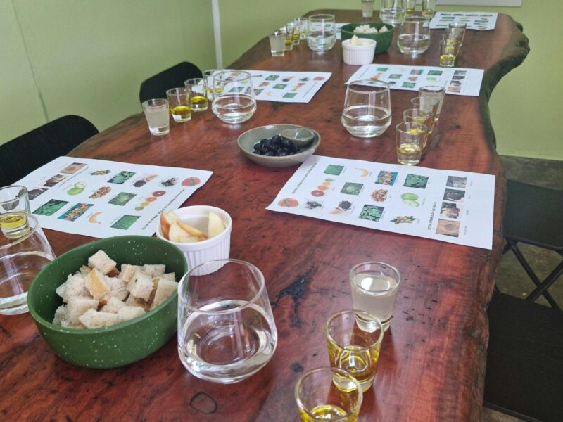 ATDW Confido Coonawarra.jpeg Tasting room table set up for masterclass tasting experience.