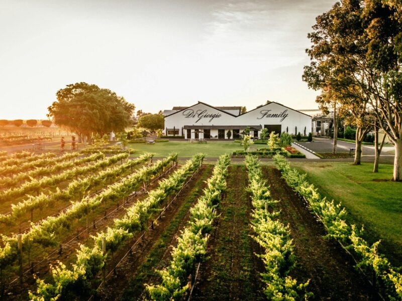 ATDW DiGiorgio Family Wines Coonawarra.jpeg The winery and cellar door right in the heart of Coonawarra