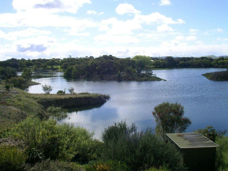 ATDW Hatherleigh Garden Club Tour Of Lake McIntyre.jpeg A pretty photo of Lake McIntyre. The water is dark blue and there are bushes on the edges near lake.