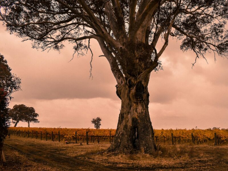 ATDW Hynam.jpeg Hynam