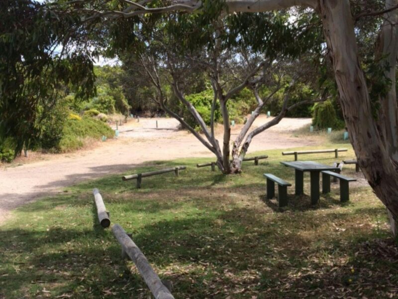 ATDW Kotgee Campground Canunda National Park.jpeg Canunda National Park